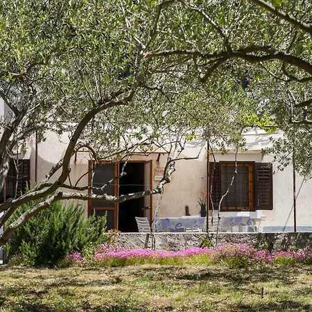 아파트 Casa Oliva Sveti Jakov