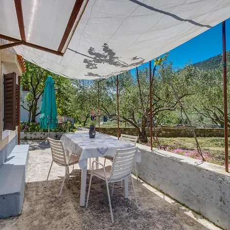 Casa Oliva 아파트 *