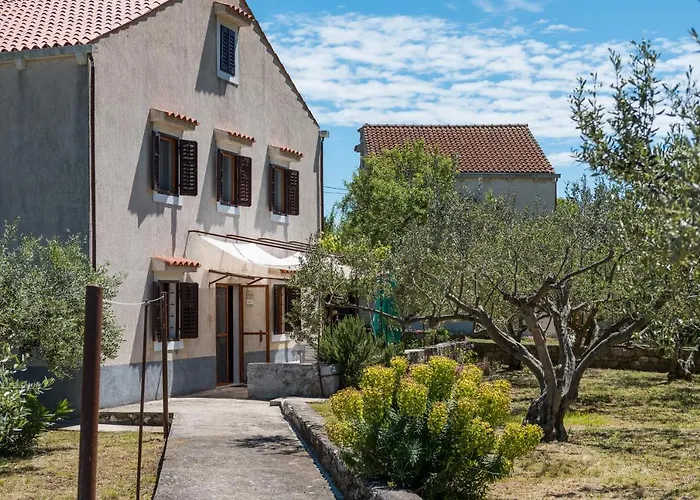 Apartamento Casa Oliva