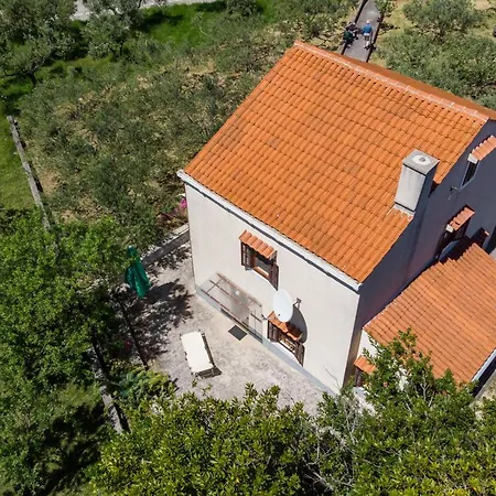 Alice Casa