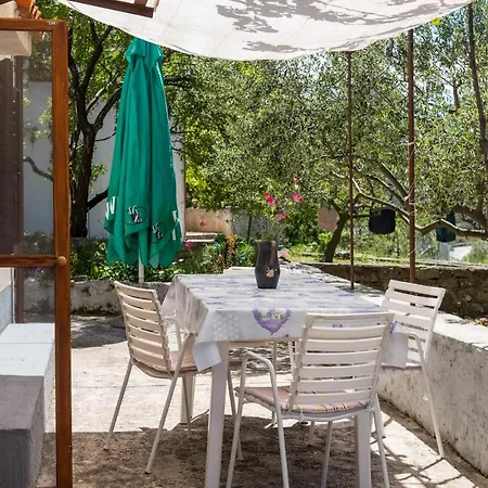 Alice Casa