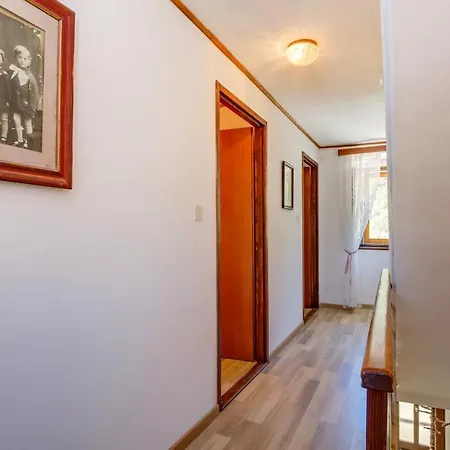 Alice Casa